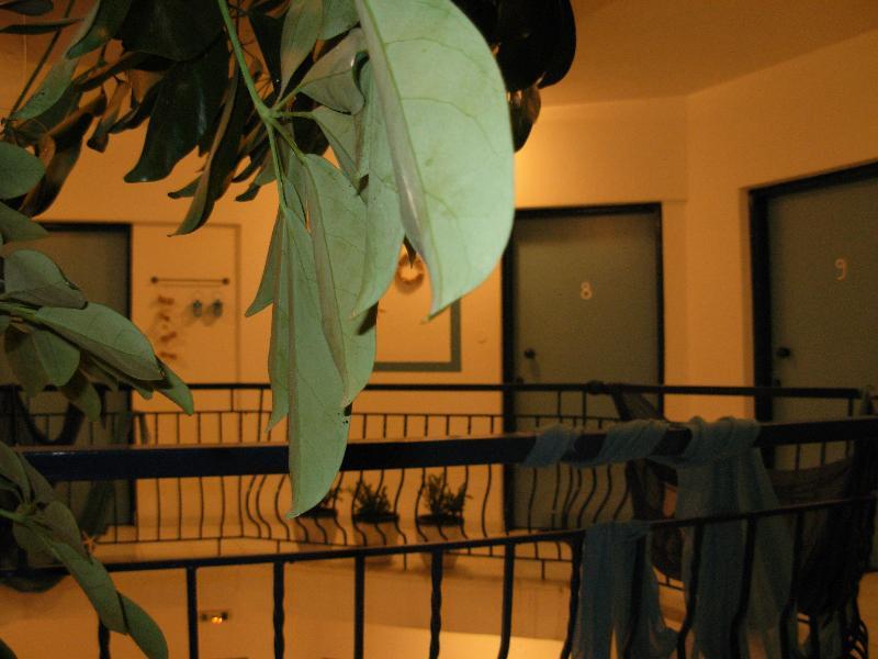 بوليخرونو Anemos Hotel المظهر الخارجي الصورة